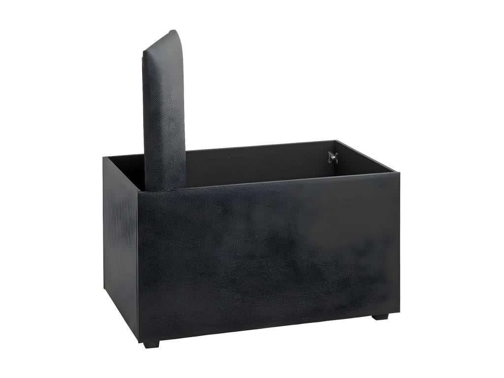 Coffre de Rangement Design Mobenze 65cm Noir FISX75124