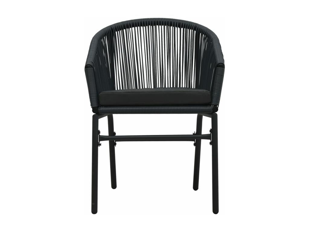 Chaises de jardin 2 pièces Noir Rotin PE IOLE53199