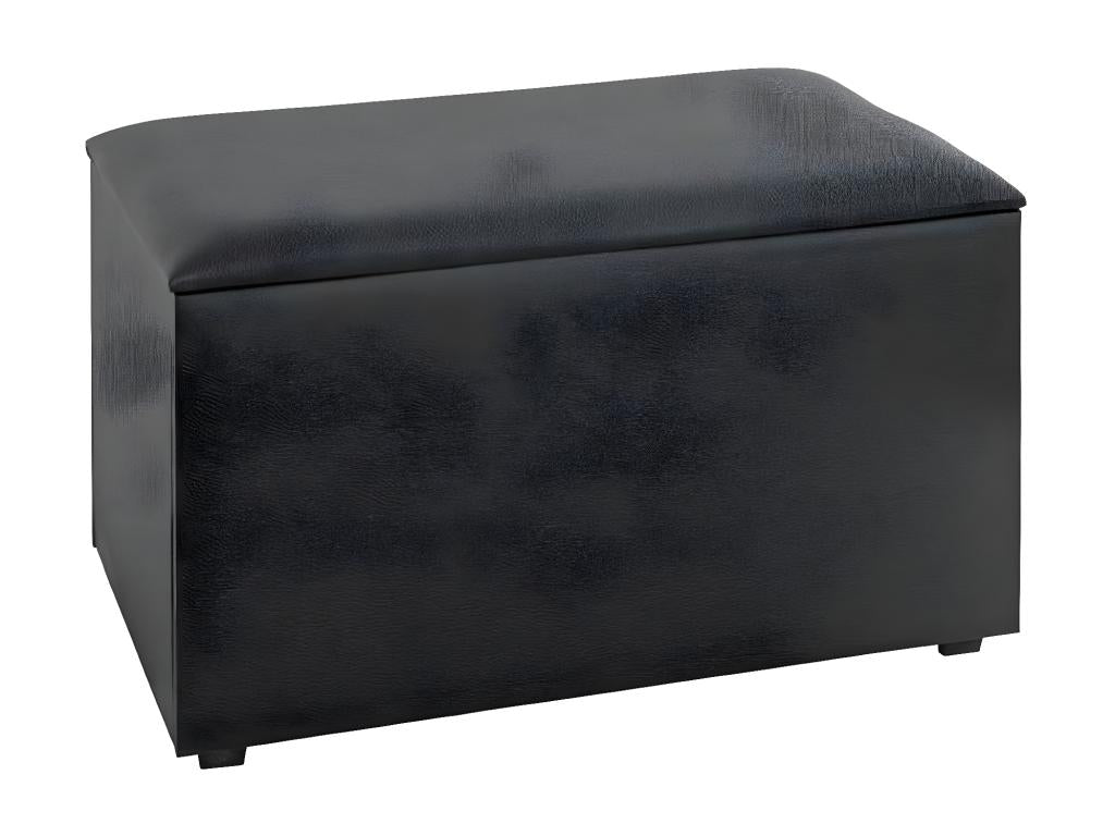 Coffre de Rangement Design Mobenze 65cm Noir FISX75124