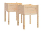 Jardinières d'extérieur 2 pièces 50x50x70 cm Bois de pin massif EJFH77253