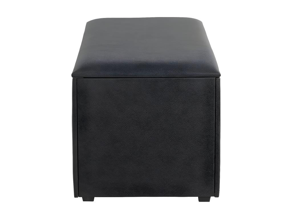 Coffre de Rangement Design Mobenze 65cm Noir FISX75124